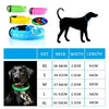 LED Hundehalsband wiederaufladbar