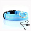 LED Hundehalsband wiederaufladbar