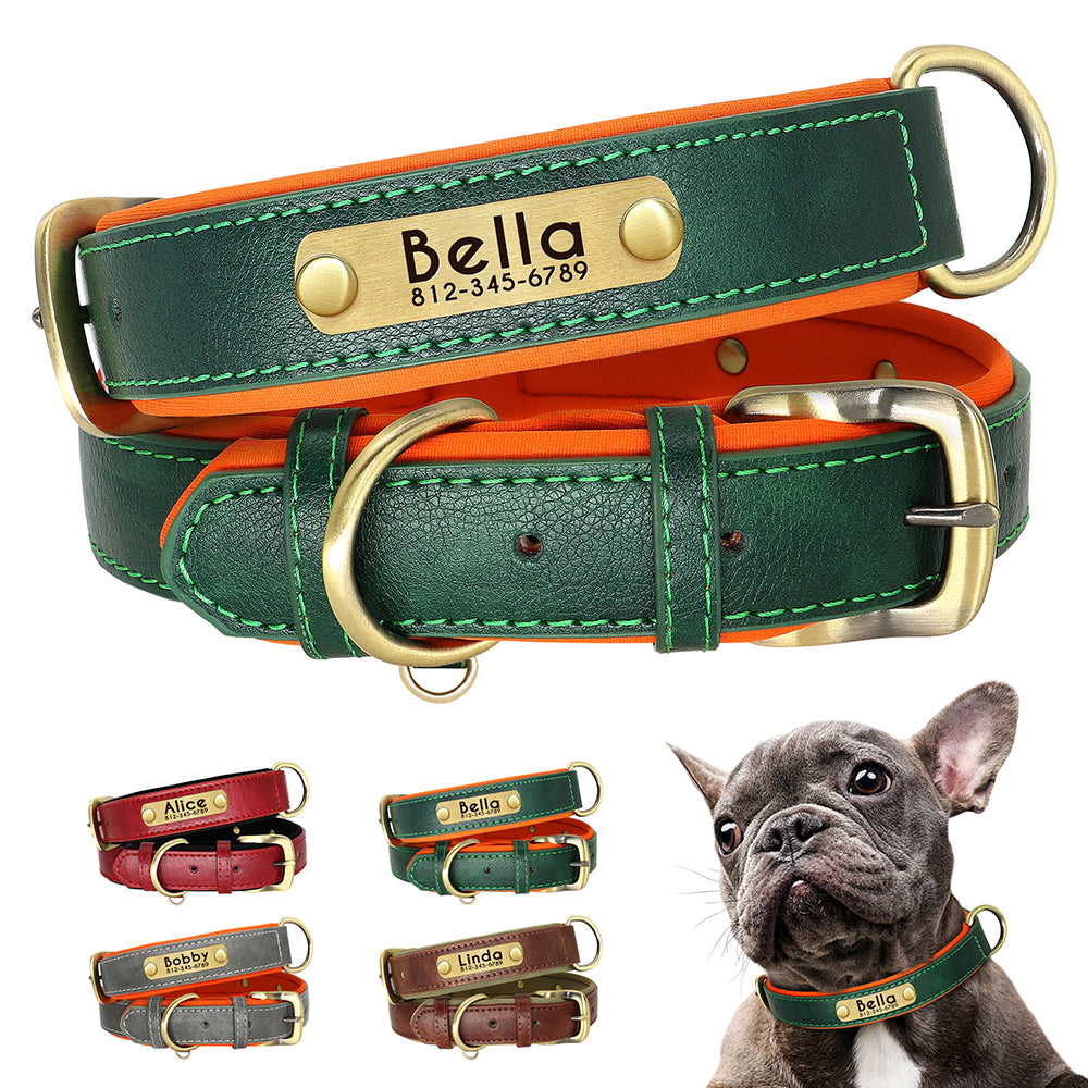 Personalisierbares Hundehalsband