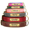 Personalisierbares Hundehalsband