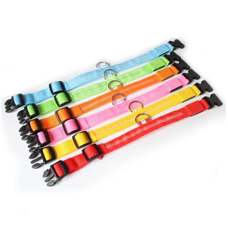 LED Hundehalsband wiederaufladbar